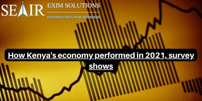 How Kenya's economy performed in 2021, survey shows